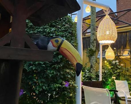 Canto Das Laranjeiras Moa Guaruja Exterior photo